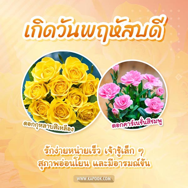 ดอกไม้ประจำวันเกิด ดอกไม้ประจำวันเกิด