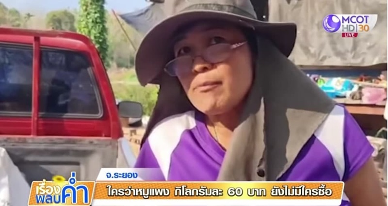 หมูแพง หมูแพง