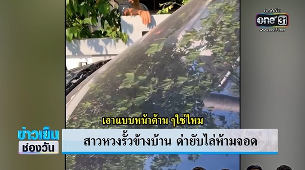 มนุษย์ป้าหวงรั้วบ้าน มนุษย์ป้าหวงรั้วบ้าน
