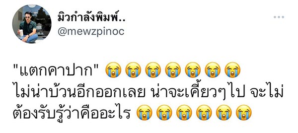 แมลงสาบแตกคาปาก แมลงสาบแตกคาปาก