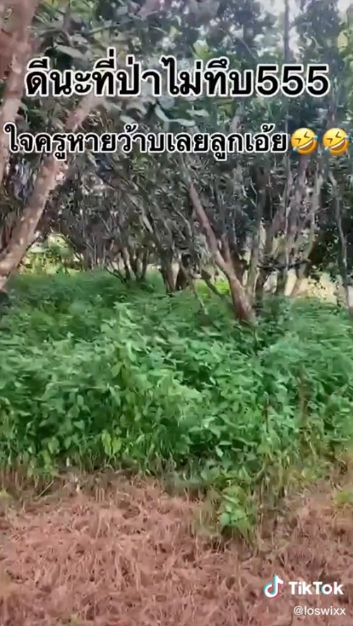 เด็กโดดเรียน เด็กโดดเรียน