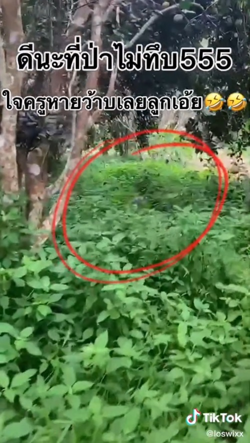 เด็กโดดเรียน เด็กโดดเรียน