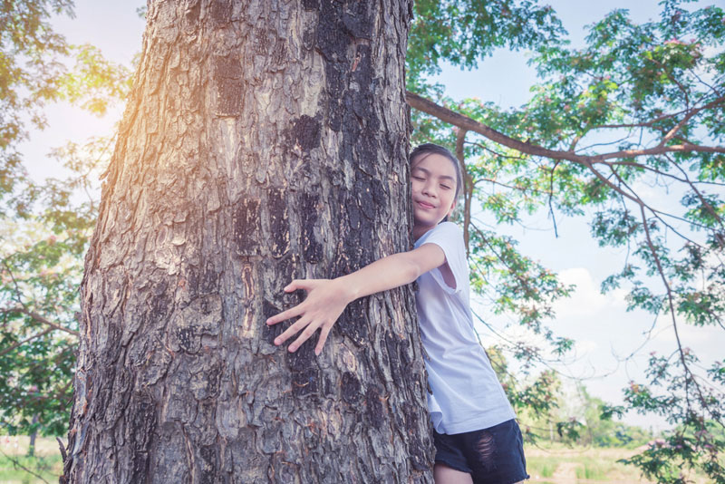 ป่าชุมชน ป่าชุมชน