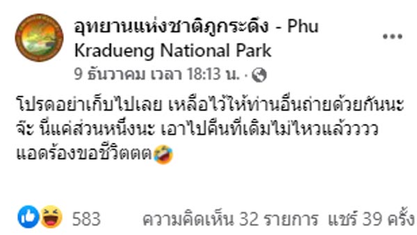 ใบเมเปิล ภูกระดึง ใบเมเปิล ภูกระดึง