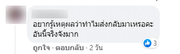 ใบเมเปิล ภูกระดึง ใบเมเปิล ภูกระดึง