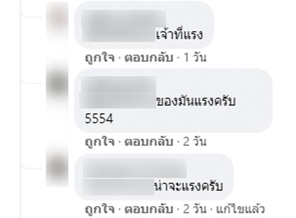 ใบเมเปิล ภูกระดึง ใบเมเปิล ภูกระดึง