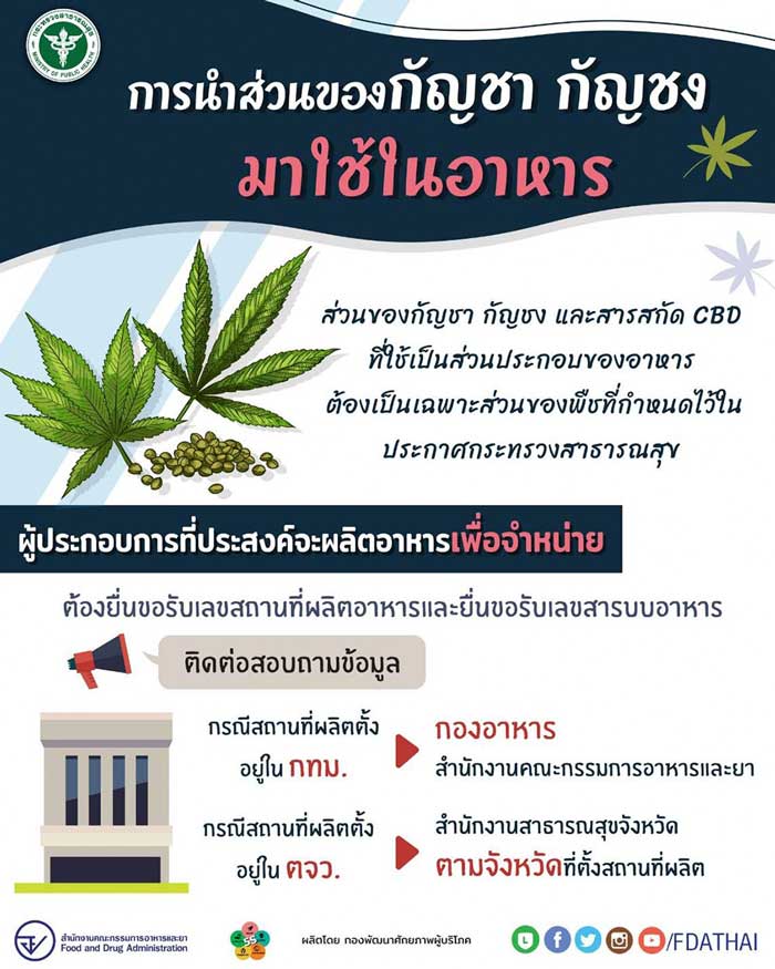 อาหารกัญชา อาหารกัญชา