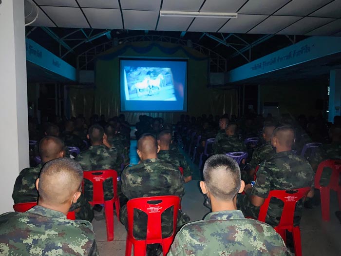 ทหารใหม่ ดูหนัง ทหารใหม่ ดูหนัง
