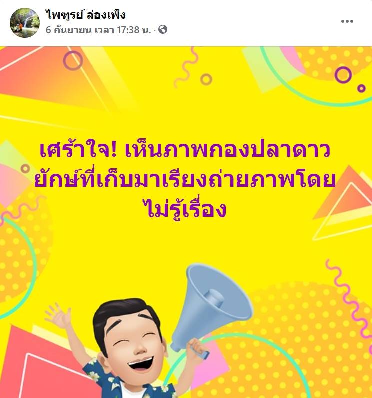 จับปลาดาวมาถ่ายรูป จับปลาดาวมาถ่ายรูป