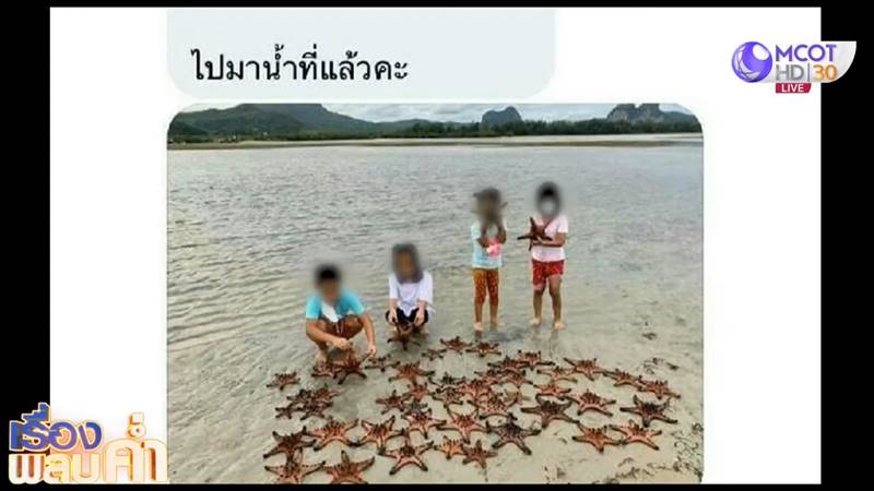 จับปลาดาวมาถ่ายรูป จับปลาดาวมาถ่ายรูป
