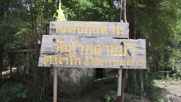 สัตว์ดึกดำบรรพ์ สัตว์ดึกดำบรรพ์