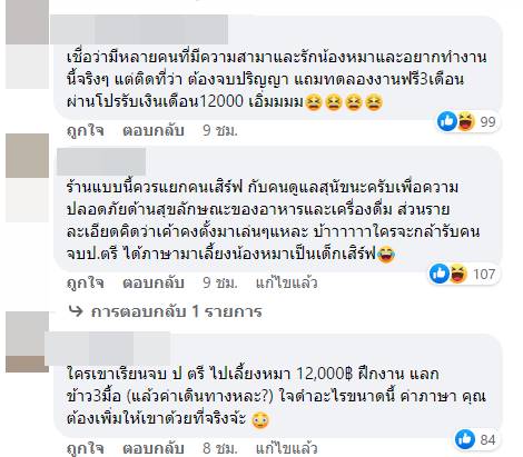 รับสมัครงาน รับสมัครงาน