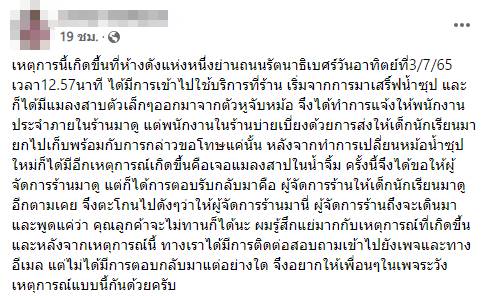 แมลงสาบ ไต่หูหม้อ แมลงสาบ ไต่หูหม้อ