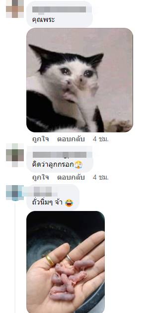 เคล็ดลับความอร่อย เคล็ดลับความอร่อย