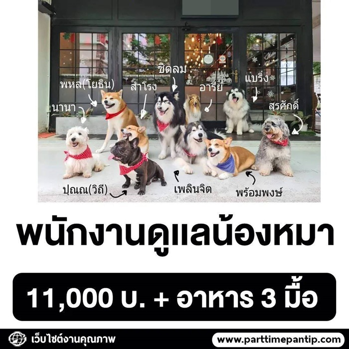รับสมัครงาน รับสมัครงาน