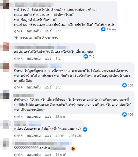 อาหารหมา อาหารหมา