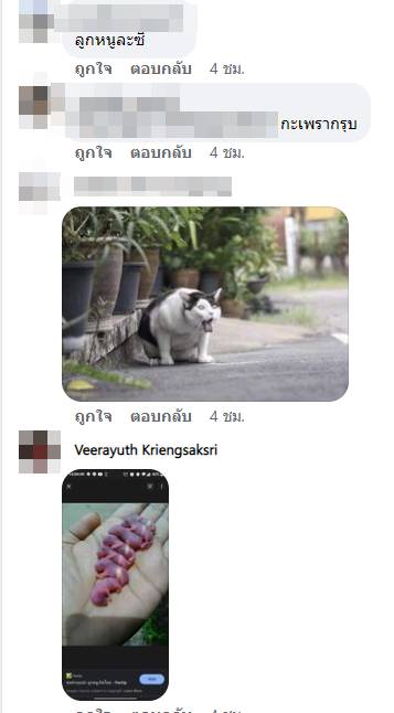 เคล็ดลับความอร่อย เคล็ดลับความอร่อย