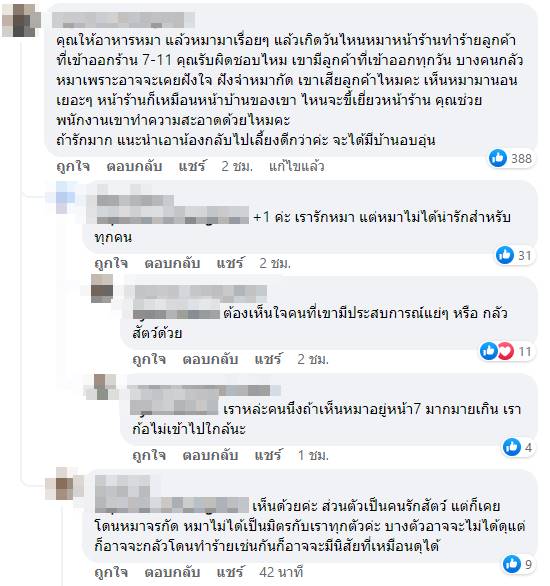 อาหารหมา อาหารหมา