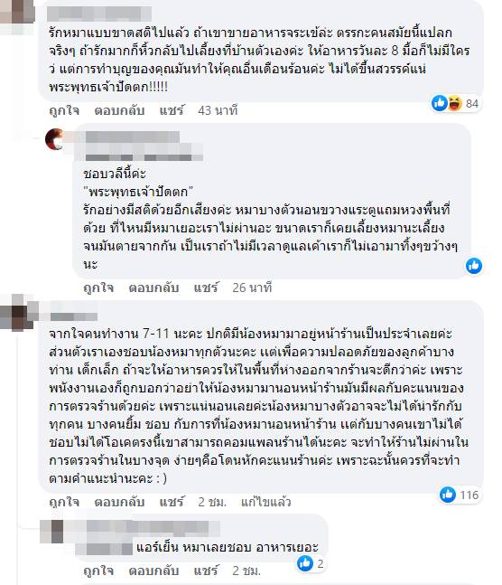 อาหารหมา อาหารหมา