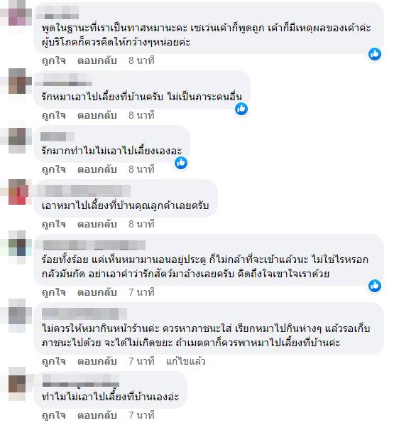 อาหารหมา อาหารหมา