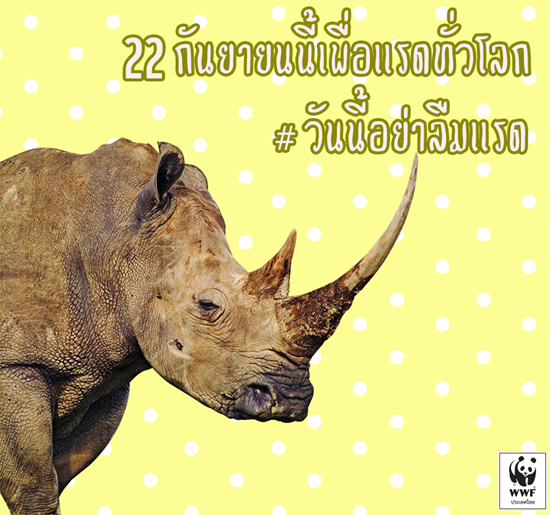 วันแรดโลก วันแรดโลก
