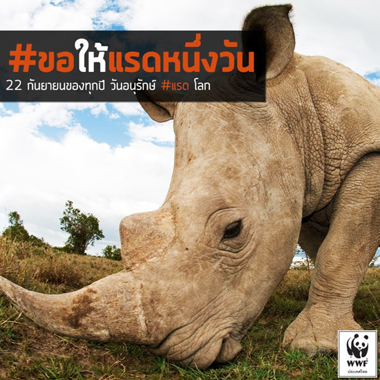 วันแรดโลก วันแรดโลก