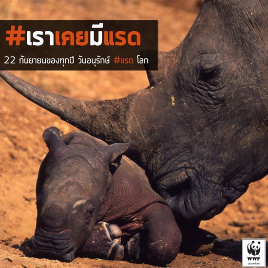 วันแรดโลก วันแรดโลก