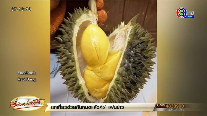 ทุเรียนหมอนทอง ทุเรียนหมอนทอง
