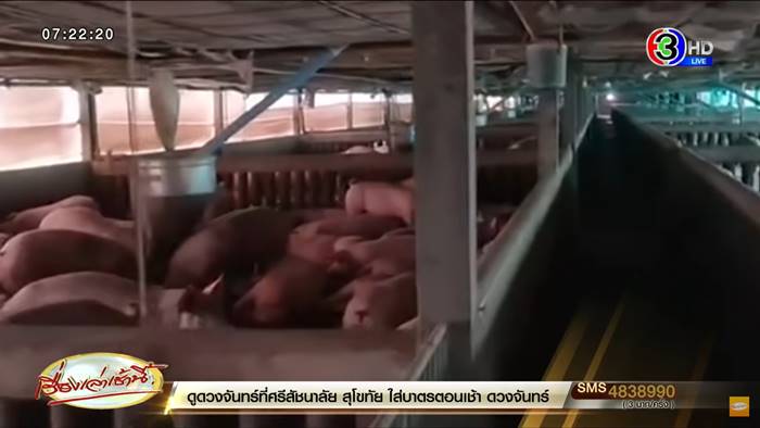 เนื้อหมูแพง เนื้อหมูแพง