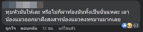 งูเหลือมกินแมว งูเหลือมกินแมว