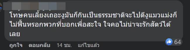 งูเหลือมกินแมว งูเหลือมกินแมว
