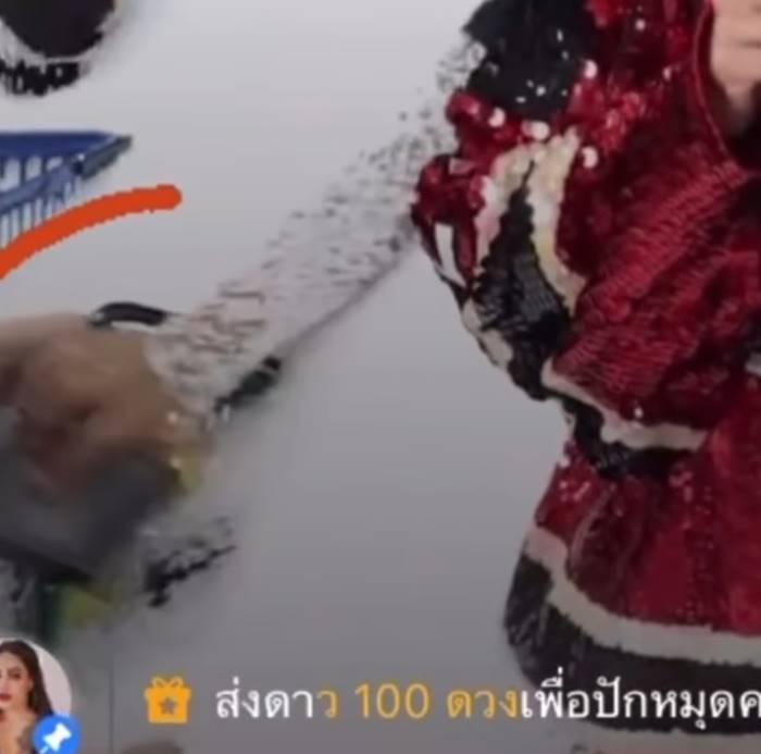พิมรี่พาย พิมรี่พาย