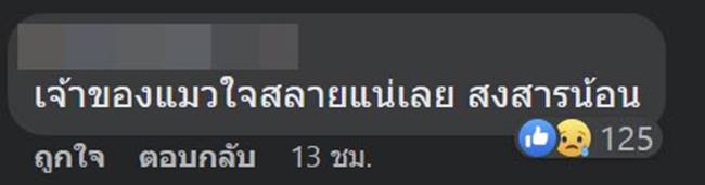 งูเหลือมกินแมว งูเหลือมกินแมว