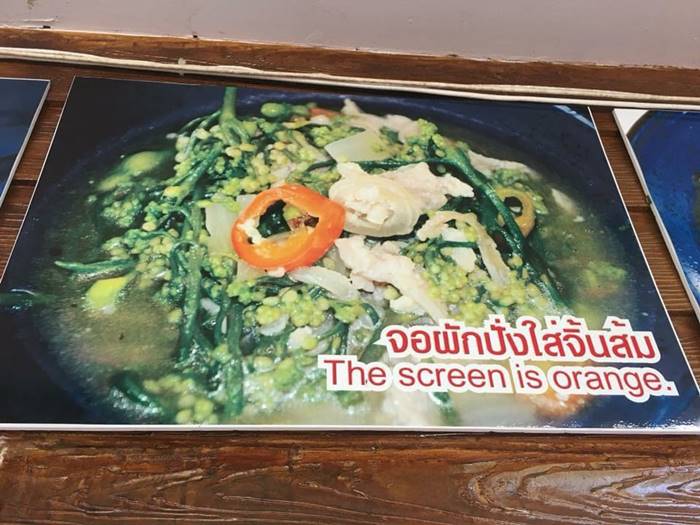 จอผักปั่งใส่จิ้นส้ม จอผักปั่งใส่จิ้นส้ม