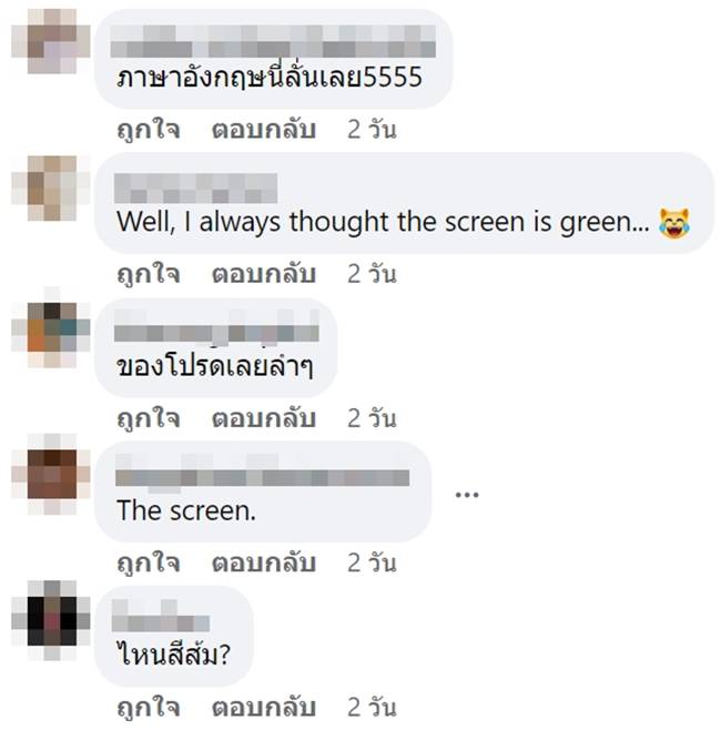 จอผักปั่งใส่จิ้นส้ม จอผักปั่งใส่จิ้นส้ม