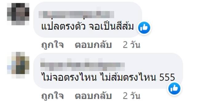 จอผักปั่งใส่จิ้นส้ม จอผักปั่งใส่จิ้นส้ม