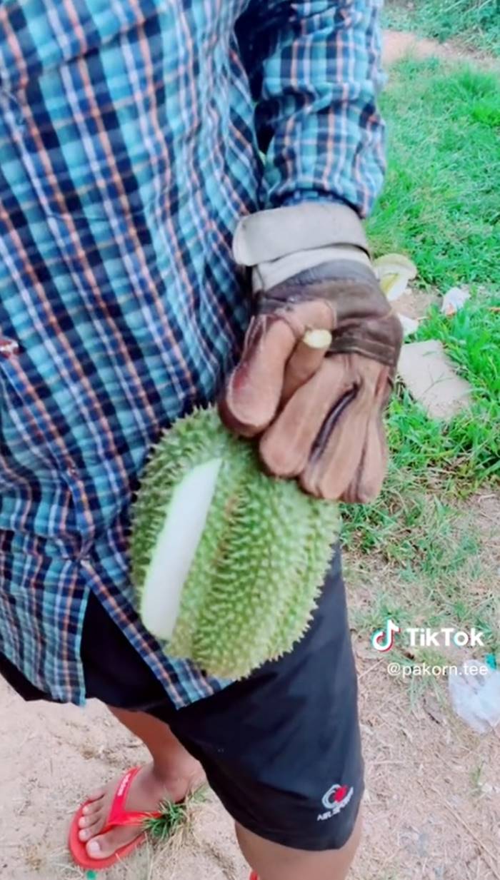 ทุเรียน