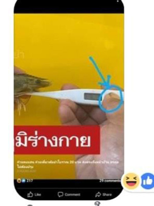ร้านก๋วยเตี๋ยวดัง VS ลูกค้า ร้านก๋วยเตี๋ยวดัง VS ลูกค้า