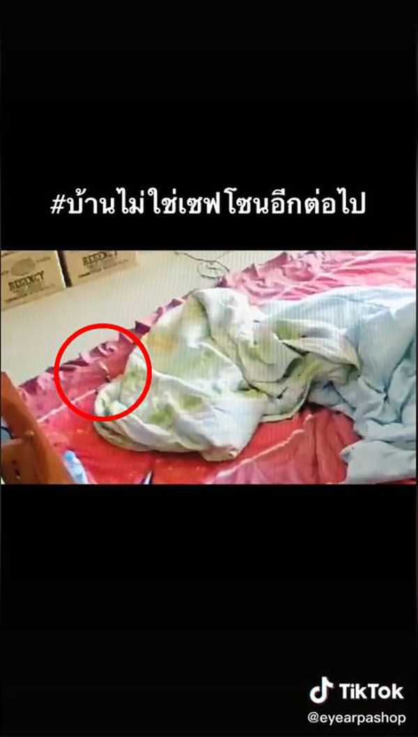 สาวกรี๊ดลั่น เปิดผ้าห่มเจอลูกงูเห่า สาวกรี๊ดลั่น เปิดผ้าห่มเจอลูกงูเห่า