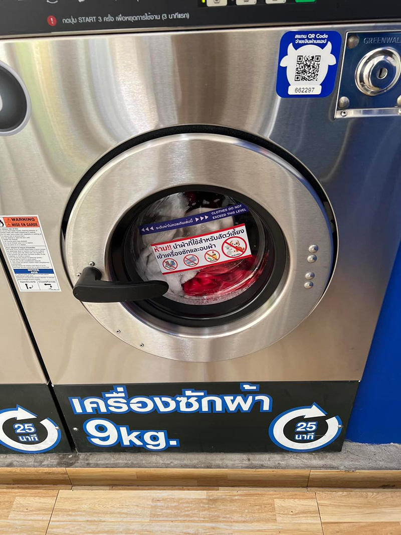 ชิลไม่ไหว เมื่อไปซักผ้าแล้วไม่มีรถกลับบ้าน ชิลไม่ไหว เมื่อไปซักผ้าแล้วไม่มีรถกลับบ้าน