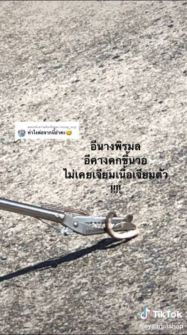 สาวกรี๊ดลั่น เปิดผ้าห่มเจอลูกงูเห่า สาวกรี๊ดลั่น เปิดผ้าห่มเจอลูกงูเห่า