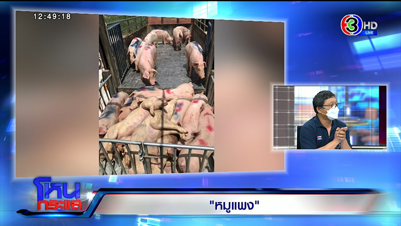 หมู หมู