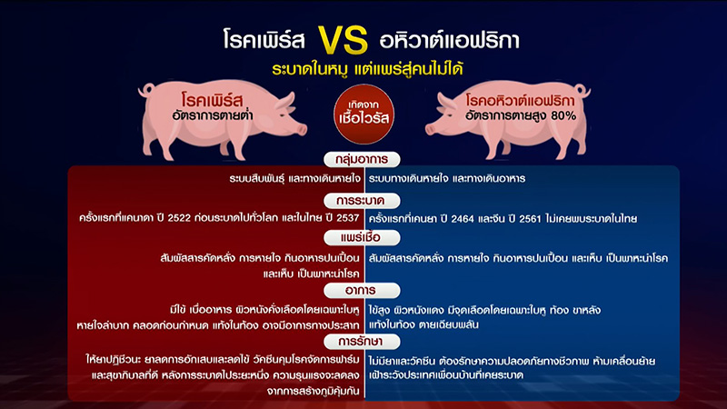 หมู หมู