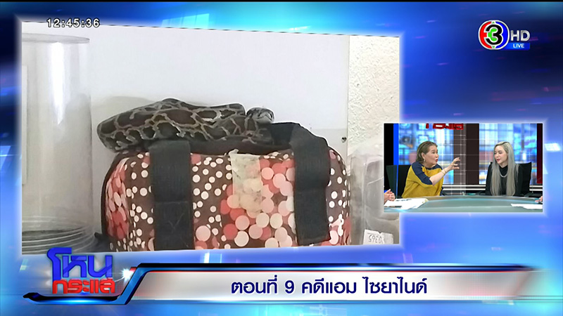 ไอซ์