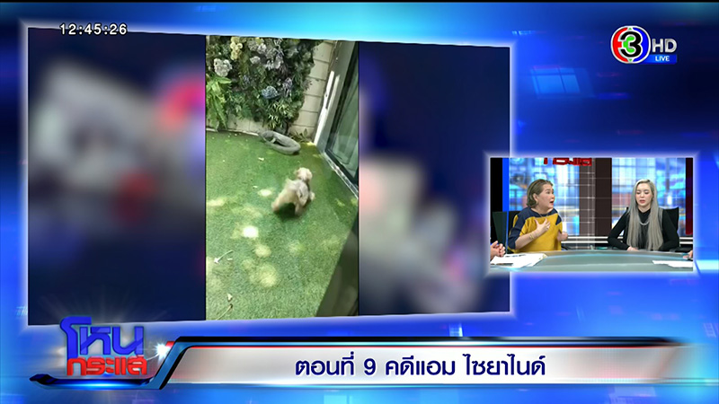 ไอซ์