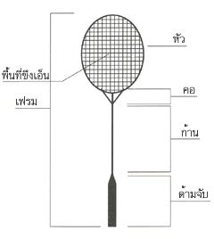แบดมินตัน แบดมินตัน