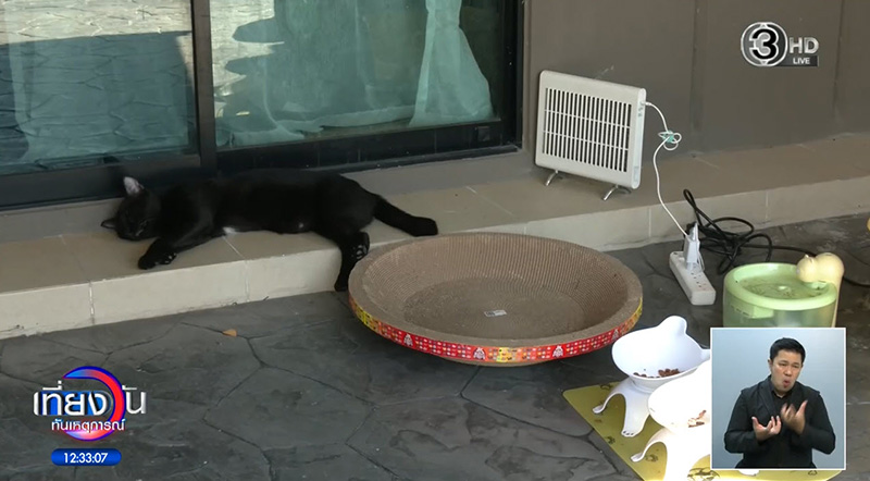 สงครามนางฟ้า สงครามนางฟ้า