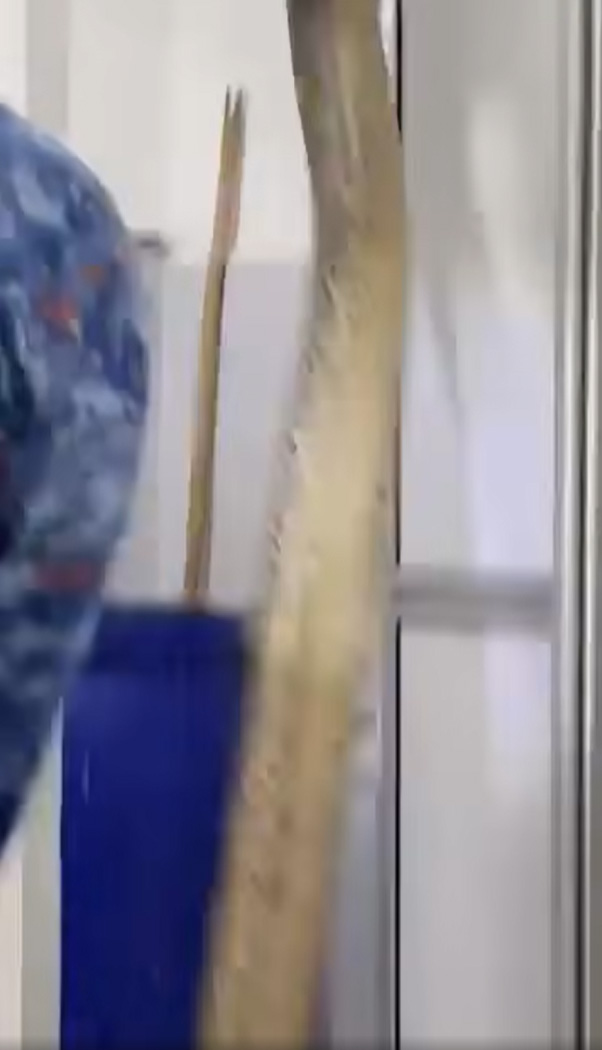 งูเหลือม