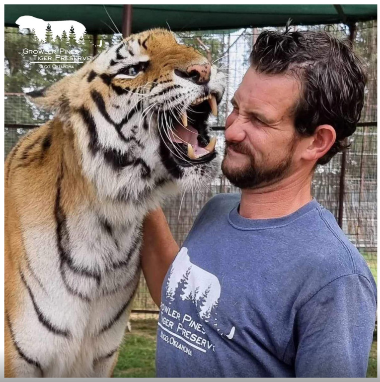 เสือทำร้าย