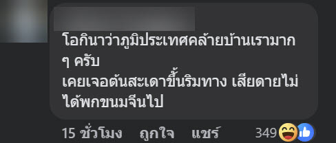 จิ้งจกอ้วน